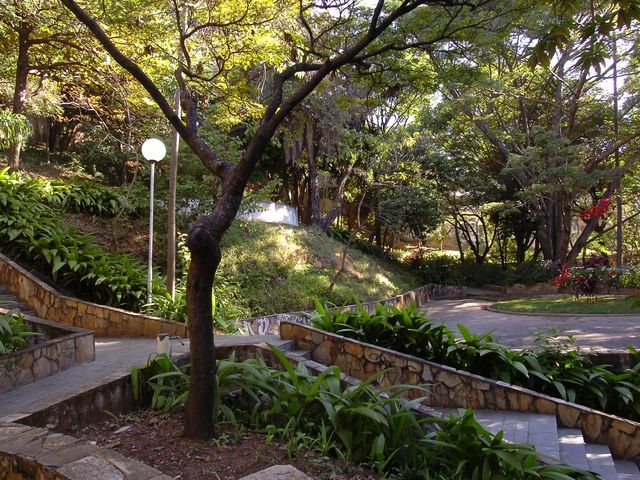 bairro-anchieta-vegetação